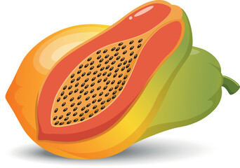 Papaya fruit cartoon style, isolated on white