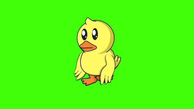 Yellow Baby Duck Walking On Green Screen 2d Animation