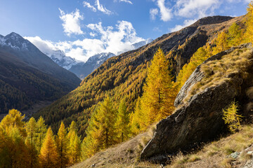Fototapeta na wymiar Swiss alpine landscape showing autumn colors