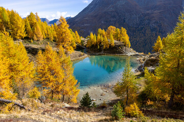 Blue alpine lake in autumn
