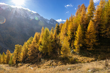 Swiss alpine landscape in autumn