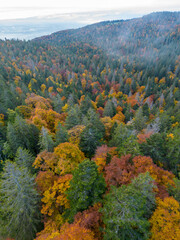 Aerial view of the Swiss Jura forests in autumn