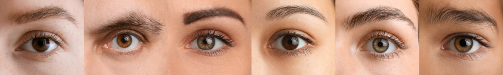 Collage with brown eyes of different people, closeup