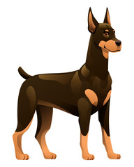 Doberman dog vector cartoon illustration