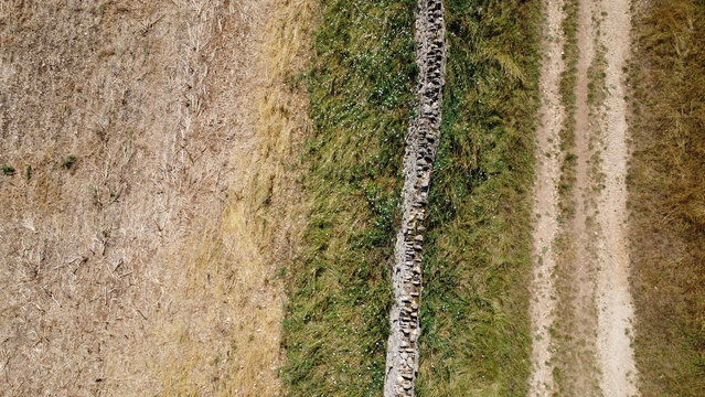 A path and wall in the countryside