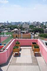 Urban community vegetable garden located on the rooftop of a building. Concepts of agriculture, ecology, and healthy living.