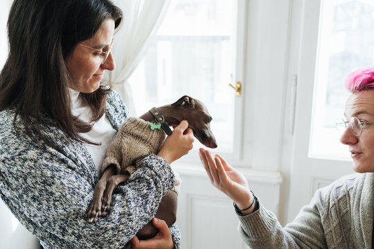 Friends petting mini greyhound