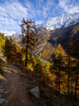 Hiking trail