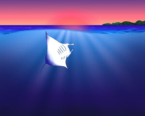 Manta ray at Sunset, half underwater illustration