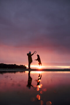 Dog owner playing with his dog on the beach at sunset
