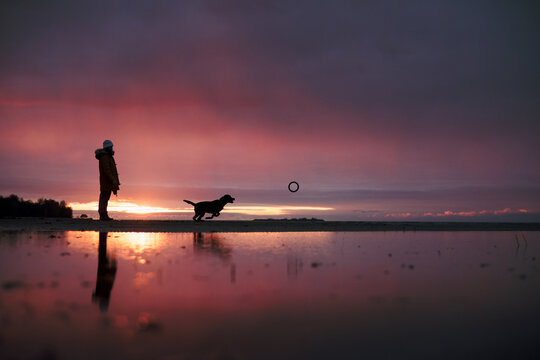 Dog owner playing with his dog on the beach at sunset