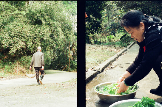 Back Shadow & Women wash vegetables