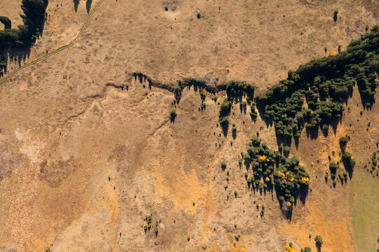 2d from above texture mountain landscape