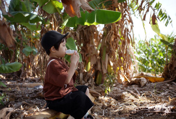 Cute little Asian boy playing in the banana field in autumn