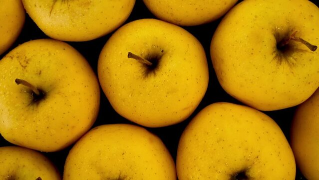 Raw fresh ripe yellow Golden Delicious apples.