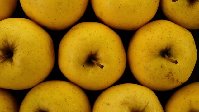 Raw fresh ripe yellow Golden Delicious apples.