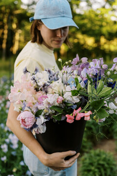 Smiling farmer picking sweet pea flowers in greenhouse