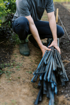 man putting out drip tubing at a farm to start a new row