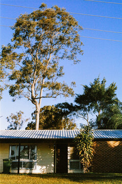 Home among the gumtrees