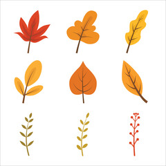 Set of autumn leaves flat vector illustration