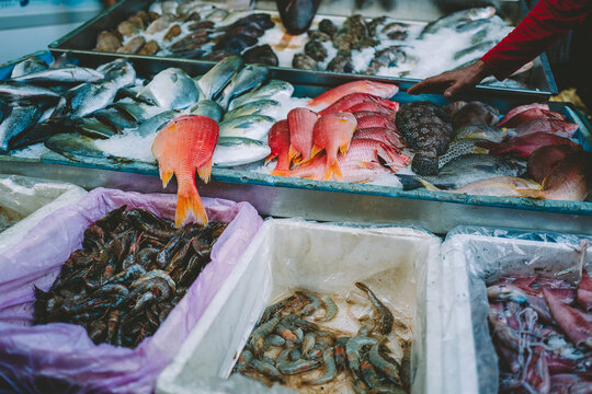 Fish On A Market Stall In The Middle East.