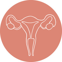 Uterus 