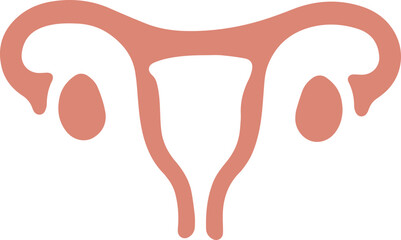 Uterus 