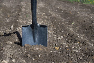 Shovel stuck to the cultivated ground