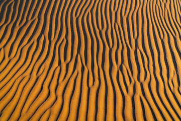 Sand Dunes in the Namib Desert, Namibia, Africa.