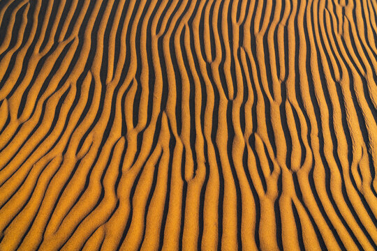 Sand Dunes in the Namib Desert, Namibia, Africa.