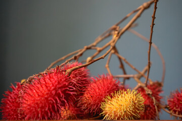 rambutan is one of Indonesian fruit