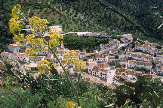 The Andalucia white-washed wall village of Zahara.