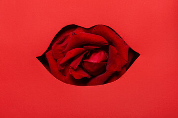 Cut red paper in shape of lips with rose, top view