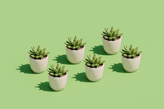 3d Pattern of Green Home plants in Pots.