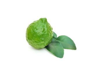Fresh organic kaffir lime green, rough skin, kaffir lime has many uses.  commonly used as a shampoo Or kaffir lime skin can be used as an ingredient in food.  put on a white background.