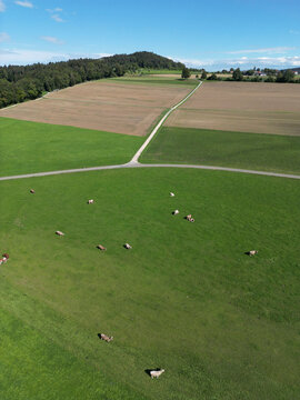Farmland Switzerland