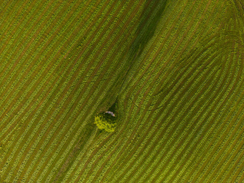 Farmland Switzerland