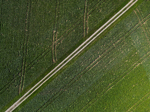 Farmland Switzerland