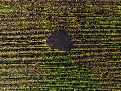 a hole in a field in Switzerland
