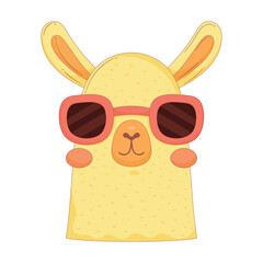Obraz premium llama perubian wearing sunglasses