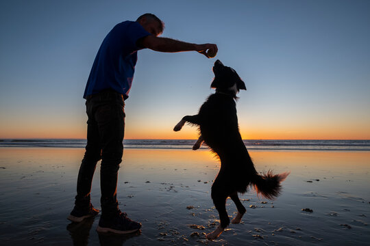 Silhouettes in a sunset