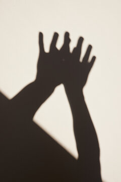 Skin Details Shadows