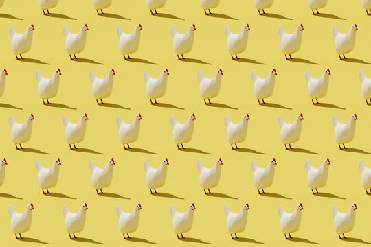 Chicken 3d pattern. Farming cartoon style illustration.