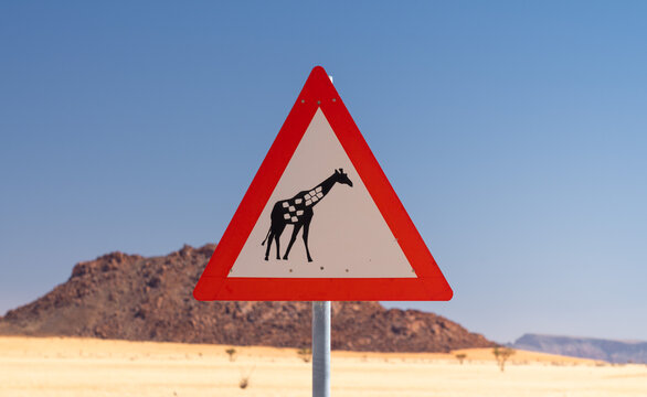Giraffe crossing danger sign in a grassy plain in Namibia, Africa