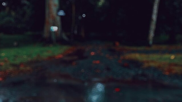 defocused blur bokeh footage of very quiet silent spooky athmosphere of public park kebun raya purwodadi jawa timur when mild rain fall in the dawn evening