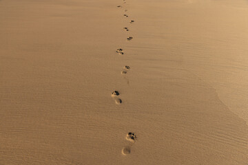 Naklejka premium Footprints in the Sand
