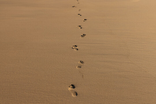 Footprints in the Sand