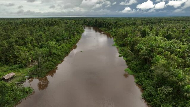 Aerial moving view of the river in tropical jungle rainforest with indigenous house in Orinoco Delta in Venezuela.