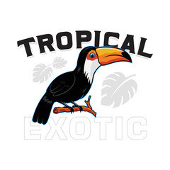 Tropical Toucan bird standing in branch exotic design illustration for T-shirt, sticker, poster etc