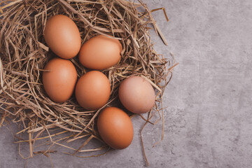 Fresh chicken eggs in straw, gray background. Copy space.